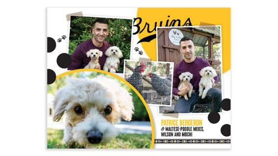 Happy National Dog Day from the Bruins and their pups!