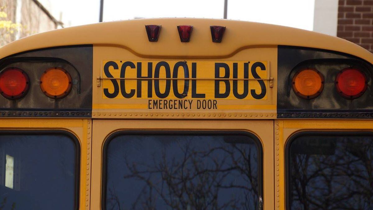 Grandfather Express Oregon Man Buys Bus To Take 10 Grandkids To