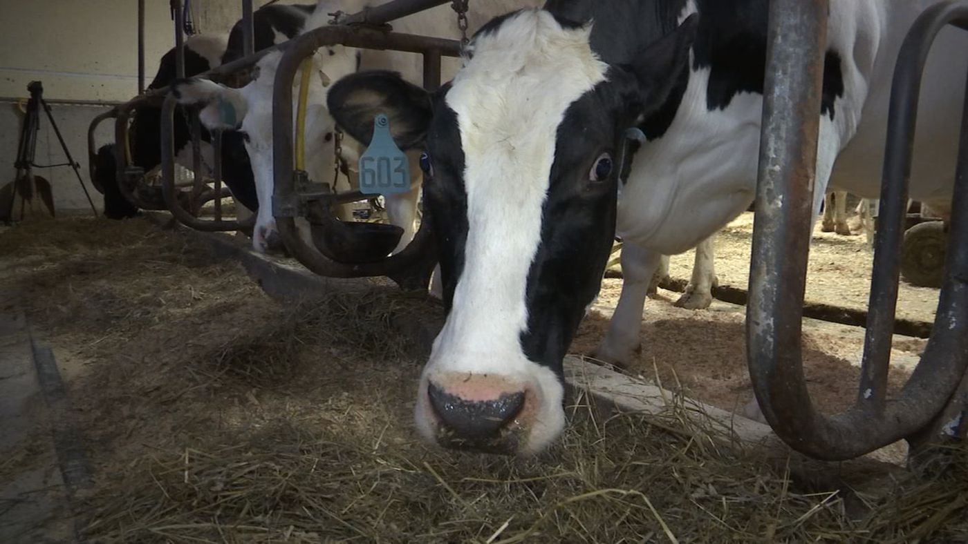 The farm has diversified its products and still has two dozen employees, but a threat to the business keeps getting bigger.